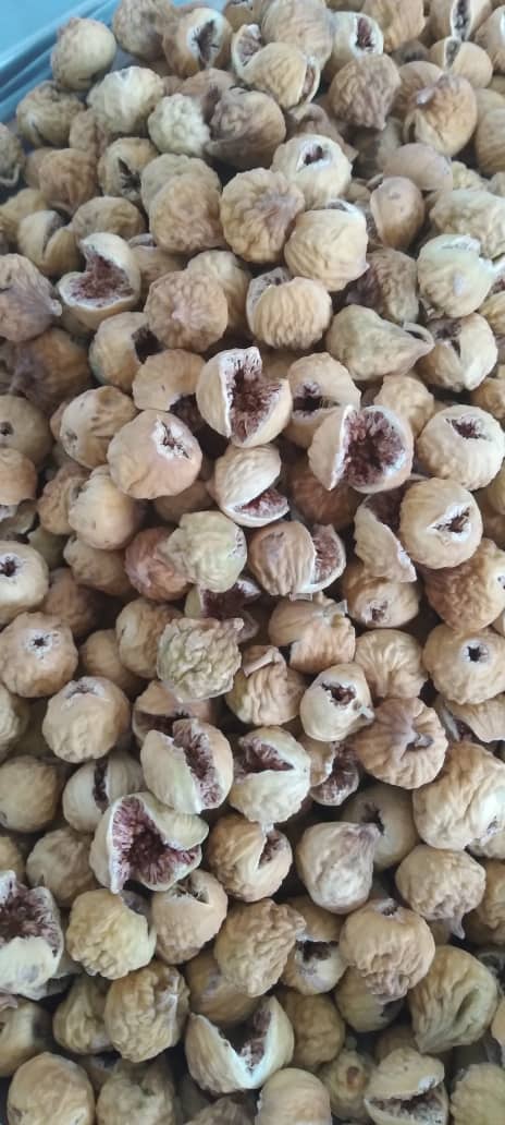 تصویر 1 از خرید به صرفه انجیر استهبان + قیمت مناسب